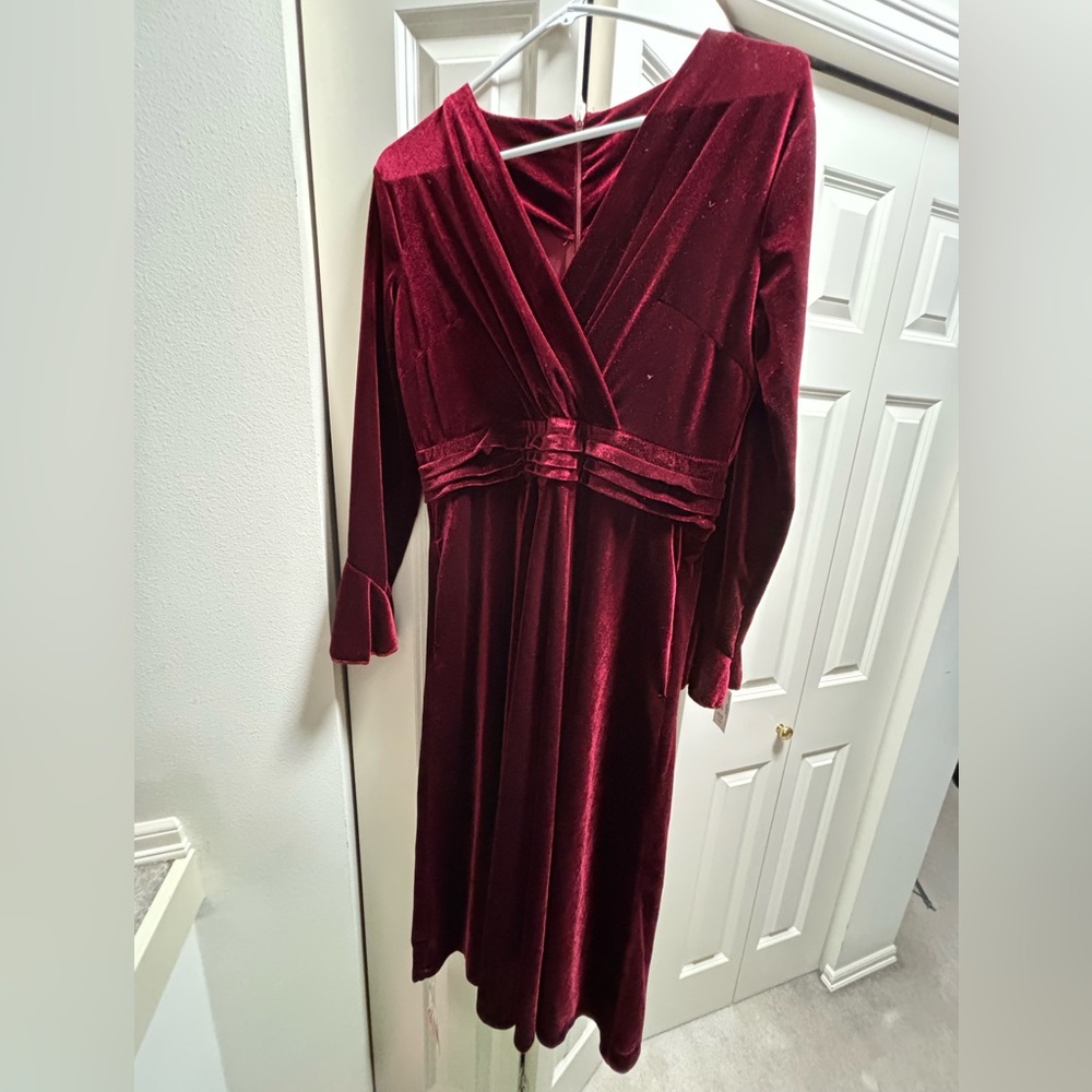 Elegant Vintage Red Burgundy Velvet Dress